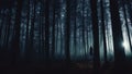 Silhouette of a man walking in the dark forest with fog. Royalty Free Stock Photo