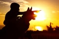 Silhouette of a man walking with a dog on the field at sunset, guy training pet in summer nature, boy giving a command