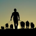 Silhouette of man walking dogs at sunset template Royalty Free Stock Photo