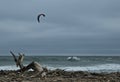 Windsurfing waves coastline driftwood Ventura California