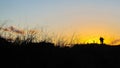 Silhouette of a man, woman and dog against the sunset Royalty Free Stock Photo