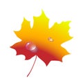 Silhouette maple autumn leaf. Gradient object isolated. Vector Royalty Free Stock Photo