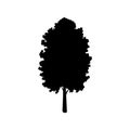 Silhouette maple icon tree flora Royalty Free Stock Photo