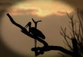 Silhouette of a marabou stork against a sunset background