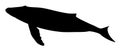 Silhouette of a whale