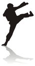 Silhouette of martial arts