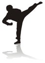 Silhouette of martial arts Royalty Free Stock Photo