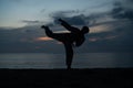 Silhouette of martial arts man training taekwondo