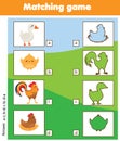 Silhouette matching children educational game. Kids activity with farm birds Royalty Free Stock Photo