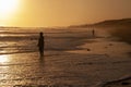 Silhouette of men surf fishing among ocean waves at sunset
