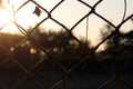 Silhouette metal fence on sunset