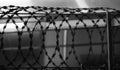 SILHOUETTE METAL RAZOR WIRE FENCING Royalty Free Stock Photo