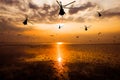 Silhouette of the military helicopter moving into sky at sunset Royalty Free Stock Photo