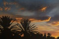 Silhouette of a minaret mosque and date palms against a beautiful colorful sky at sunset Royalty Free Stock Photo