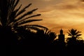 Silhouette of a minaret mosque and date palms against a beautiful colorful sky at sunset