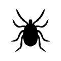 Silhouette of mite. Top view. Vector illustration.