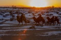 Silhouette of a Mongolian riding a camel in the desert as the sun sets.