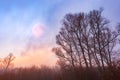 Silhouette morning forest. misty morning in the woods. beautiful colorful sky with moon. Atmospheric autumn Royalty Free Stock Photo