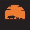 Silhouette mother Pig with little piglets walking on meadow of sunset background