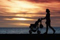 Silhouette mother pulling baby stroller