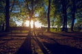 Silhouette of mother is walking with his baby in the park with her baby baby girl pacifier who is lies in baby carriage Royalty Free Stock Photo