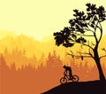 Silhouette of mountain bike rider in wild nature landscape. Mountains, forest in background. Magical misty nature. Yellow illust Royalty Free Stock Photo