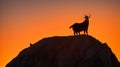 A silhouette of a mountain goat perched on a cliff at sunset