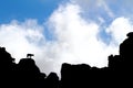 Silhouette of mountain goat on top of the rocks against the blue sky