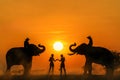 Silhouette of a Muay Thai, Boxing training In the middle between two elephants. Thai boxing at the mounten, Boxing fighters Royalty Free Stock Photo