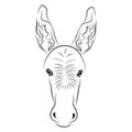 The silhouette of the muzzle of a donkey is drawn in black with different lines. The design is suitable for animal logos, tattoos Royalty Free Stock Photo