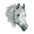 The silhouette of the muzzle of a gray horse, the portrait is painted in the form of squares, pixels