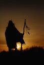 silhouette of native american shaman with pikestaff on background of sunset beutiful in mountains Royalty Free Stock Photo