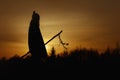 silhouette of native american shaman with pikestaff on background of sunset beutiful in mountains Royalty Free Stock Photo