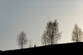 Silhouette of native indian american woman walking on hill among Royalty Free Stock Photo