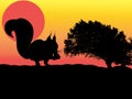 Silhouette of a Nut Eating Squirrel in a Sunset, Digital Art Royalty Free Stock Photo