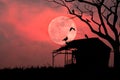 A silhouette of an old, abandoned hut planted under a leafless tree with a flock of ravens. Royalty Free Stock Photo