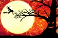 Silhouette of an old black tree with a grimace on the trunk against the background of an orange sky with a moon and a flying witch