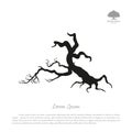 Silhouette of the old broken tree on a white background.