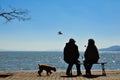 Silhouette of old couple sitting on bench before ocean Royalty Free Stock Photo