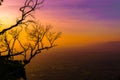 Silhouette of the old tree with red sky Royalty Free Stock Photo