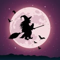 Old Witch flying on a broom against full moon Royalty Free Stock Photo
