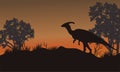 Silhouette of one parasaurolophus in hills