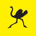 The silhouette of an ostrich bird flees on a yellow isolated background. Vector image