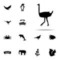 silhouette of an ostrich icon. zoo icons universal set for web and mobile