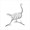Silhouette of ostrich stylized bushes for use as logos on cards