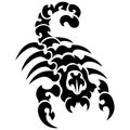 The silhouette, outline of a black scorpion on a white background is drawn with lines of various widths. Logo arachnids scorpion