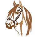 The silhouette, the outline of the horse`s muzzle brown on a white background, the portrait is drawn with lines of different width