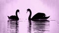 Swan silhouette with lilac hues.