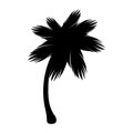 Silhouette palm icon tree flora Royalty Free Stock Photo