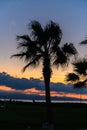 silhouette of a palm tree against the backdrop of the Mediterranean sea and sunset 4 Royalty Free Stock Photo